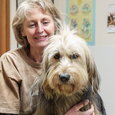 Impfen, Chippen: Tierarztpraxis Kottingbrunn